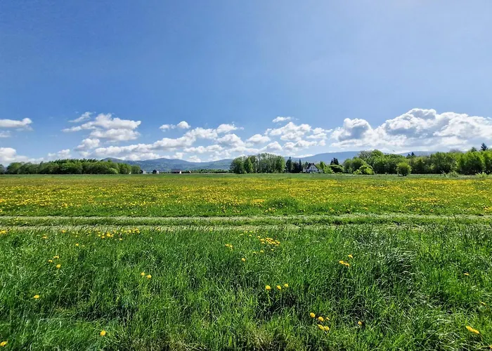 Ferienhaus Dom Z Widokiem Na Snieznik